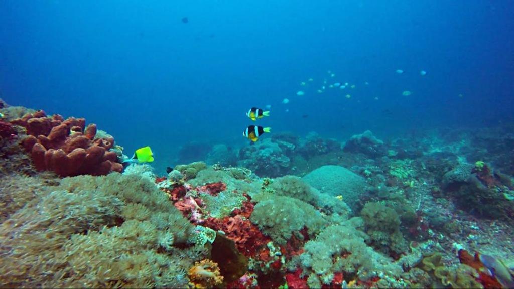Anugrah Sari Homestay by WizZeLa Nusa Lembongan  Luaran gambar